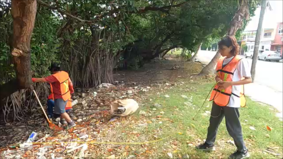 Brigada Universitaria